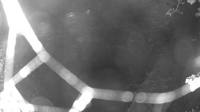 immagine della webcam nei dintorni di Carisolo: webcam Zuclo