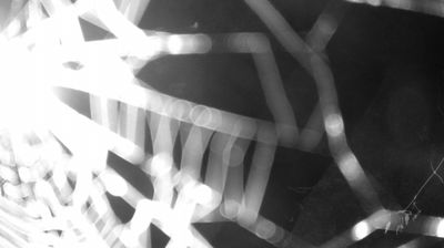 immagine della webcam nei dintorni di Tenno: webcam Zuclo