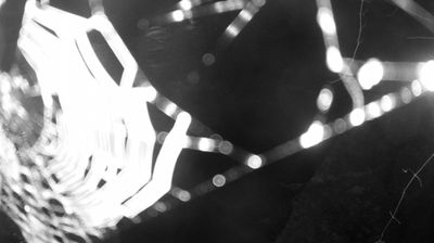 immagine della webcam nei dintorni di Daone: webcam Zuclo