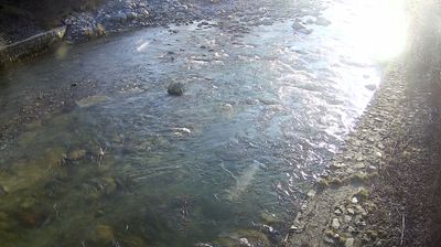 immagine della webcam nei dintorni di San Lorenzo in Banale: webcam Zuclo