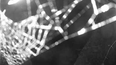 immagine della webcam nei dintorni di Tenno: webcam Zuclo