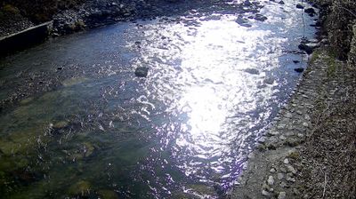 immagine della webcam nei dintorni di Daone: webcam Zuclo