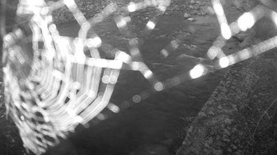 immagine della webcam nei dintorni di Carisolo: webcam Zuclo