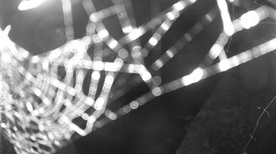 immagine della webcam nei dintorni di Sant'Antonio di Mavignola: webcam Zuclo