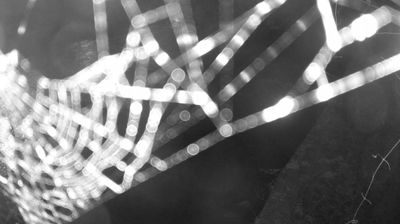 immagine della webcam nei dintorni di Spiazzo: webcam Zuclo