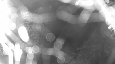 immagine della webcam nei dintorni di Spiazzo: webcam Zuclo