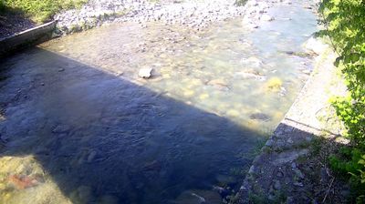immagine della webcam nei dintorni di Dorsino: webcam Zuclo
