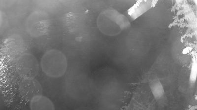 immagine della webcam nei dintorni di Dorsino: webcam Zuclo