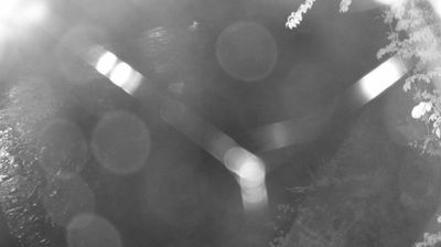 immagine della webcam nei dintorni di Caderzone: webcam Zuclo