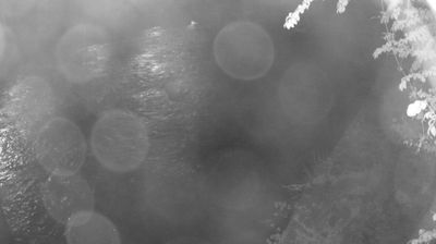 immagine della webcam nei dintorni di Fiavè: webcam Zuclo