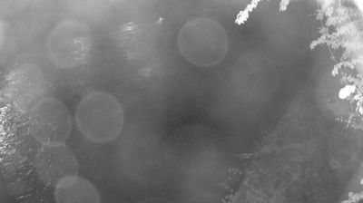 immagine della webcam nei dintorni di Valdaone: webcam Zuclo
