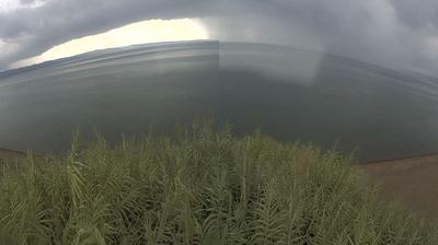 immagine della webcam nei dintorni di Capodimonte: webcam Bolsena