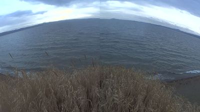 immagine della webcam nei dintorni di Acquapendente: webcam Bolsena