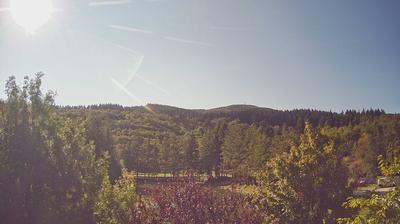 immagine della webcam nei dintorni di Bibbiena: webcam Bagno di Romagna