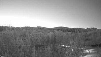 immagine della webcam nei dintorni di Cusercoli: webcam Bagno di Romagna