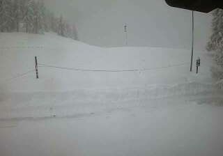 immagine della webcam nei dintorni di Gressoney-Saint-Jean: webcam Chamois
