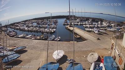immagine della webcam nei dintorni di Tirrenia: webcam Livorno