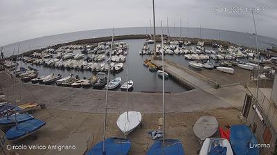 immagine della webcam nei dintorni di Pisa: webcam Livorno