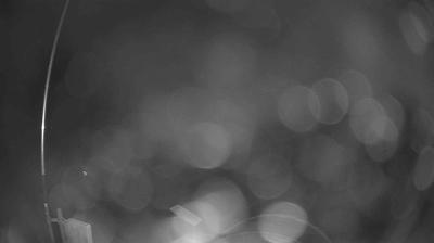 immagine della webcam nei dintorni di Ridracoli: webcam Verghereto