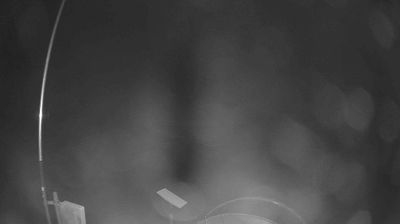 immagine della webcam nei dintorni di Ridracoli: webcam Verghereto