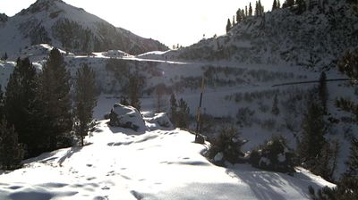 immagine della webcam nei dintorni di Tesero: webcam Palù del Fersina