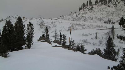 immagine della webcam nei dintorni di Castello Tesino: webcam Palù del Fersina