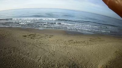 immagine della webcam nei dintorni di Nettuno: webcam Tor San Lorenzo