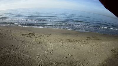 immagine della webcam nei dintorni di Domatore: webcam Tor San Lorenzo