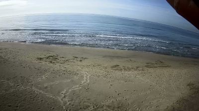 immagine della webcam nei dintorni di Domatore: webcam Tor San Lorenzo