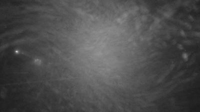 immagine della webcam nei dintorni di Abetone: webcam Piane di Mocogno