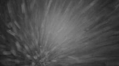 immagine della webcam nei dintorni di Castellarano: webcam Lama Mocogno