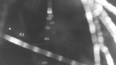 immagine della webcam nei dintorni di Serramazzoni: webcam Lama Mocogno