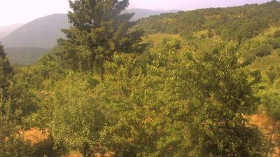 immagine della webcam nei dintorni di Passo del Penice: webcam Cabella Ligure