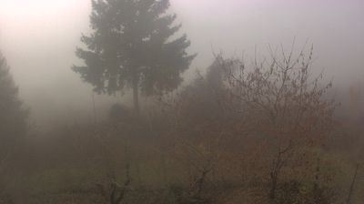 immagine della webcam nei dintorni di Brallo di Pregola: webcam Cabella Ligure