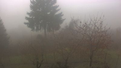 immagine della webcam nei dintorni di Bobbio: webcam Cabella Ligure