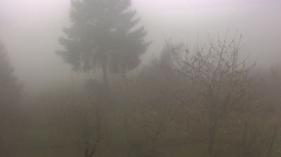 immagine della webcam nei dintorni di Brallo di Pregola: webcam Cabella Ligure