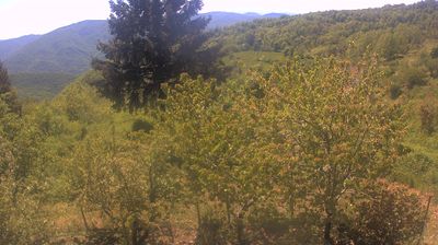 immagine della webcam nei dintorni di Passo del Penice: webcam Cabella Ligure