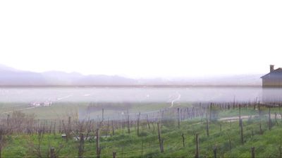 immagine della webcam nei dintorni di Monte Avena: webcam Valdobbiadene