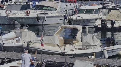 immagine della webcam nei dintorni di Cavoli: webcam Marciana Marina