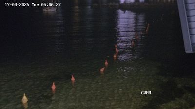 Preview delle webcam di Marciana Marina