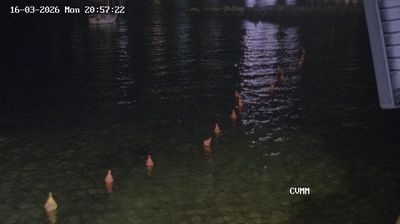 immagine della webcam nei dintorni di Capoliveri: webcam Procchio