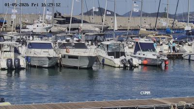 immagine della webcam nei dintorni di Cavoli: webcam Marciana Marina