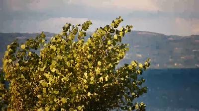 immagine della webcam nei dintorni di Ronciglione: webcam Capodimonte