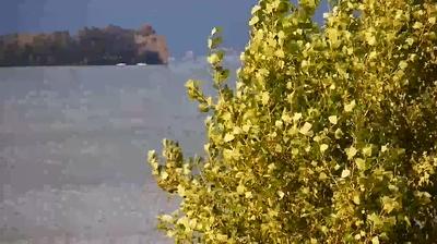 immagine della webcam nei dintorni di Lubriano: webcam Capodimonte