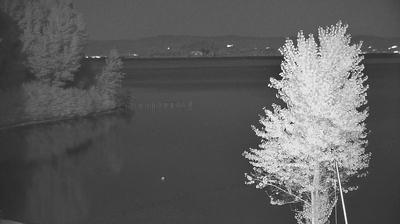 immagine della webcam nei dintorni di Castel Viscardo: webcam Capodimonte