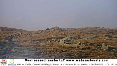 Preview delle webcam di Ponte di Legno: Passo Gavia