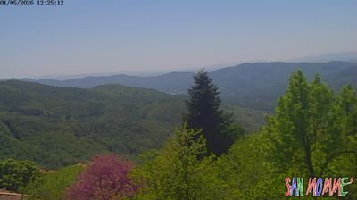 immagine della webcam nei dintorni di Monsummano Terme: webcam Granaglione