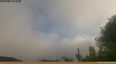 immagine della webcam nei dintorni di Pelago: webcam Pian di Sco'
