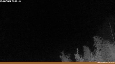 immagine della webcam nei dintorni di Passo della Consuma: webcam Pian di Sco'