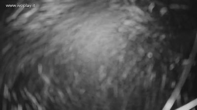 immagine della webcam nei dintorni di Bagno di Gavorrano: webcam San Galgano